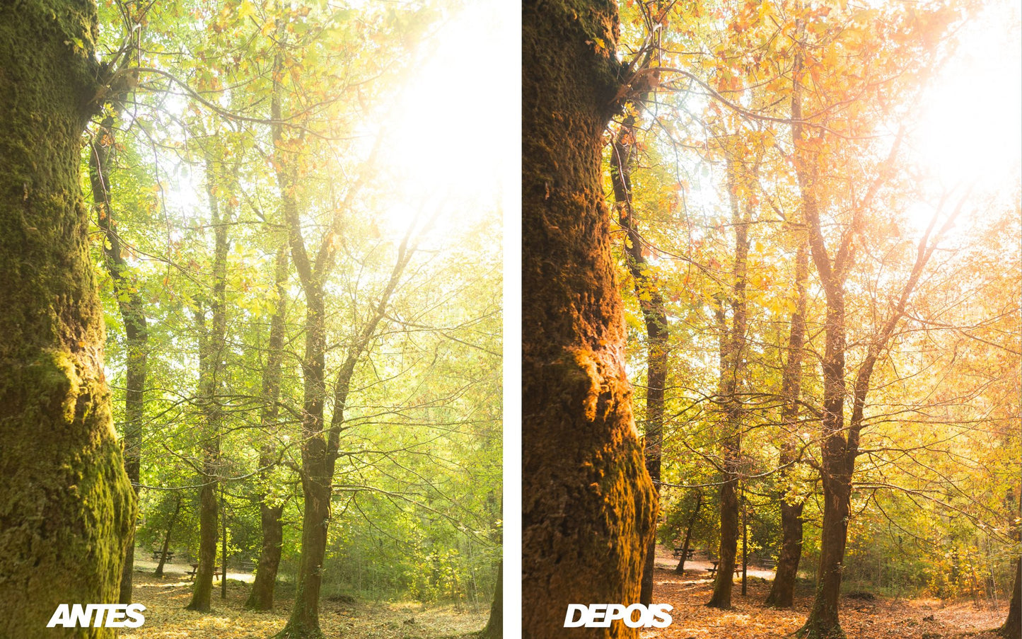 Pacote de Presets Lightroom Profissionais – The Master Collection