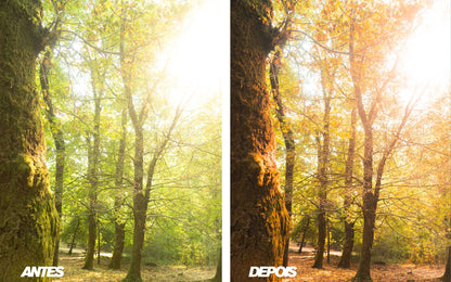Pacote de Presets Lightroom Profissionais – The Master Collection